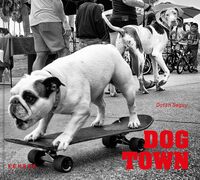 Image de Dog Town The Canines Of Venice Beach