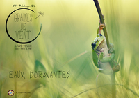 Picture of EAUX DORMANTES (Graines de vent 4)