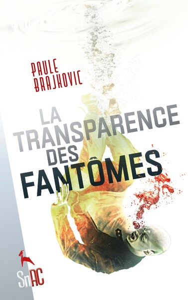 Image de La Transparence des fantômes
