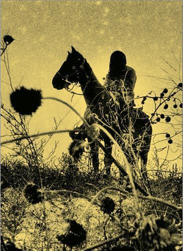 Picture of Simon Vansteenwinckel Aux Ombres /franCais