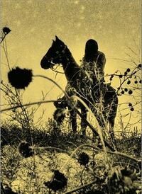 Picture of Simon Vansteenwinckel Aux Ombres /franCais