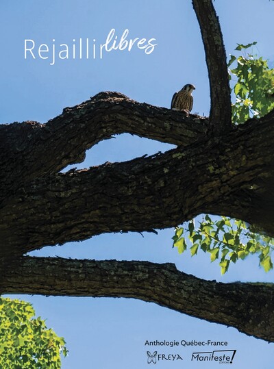 Image de Rejaillir libres