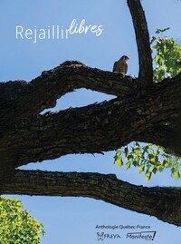 Image de Rejaillir libres