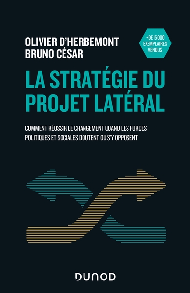 Image de La stratégie du projet latéral