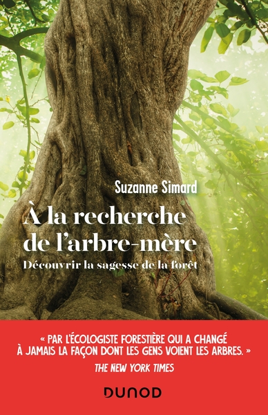 Image de A la recherche de l'arbre-mère