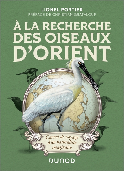 Image de A la recherche des oiseaux d'Orient