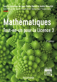 Picture of Mathématiques Tout-en-un pour la Licence 3 - 2e éd.