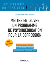 Picture of Mettre en oeuvre un programme de psychoéducation pour la dépression