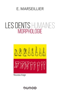 Picture of Les dents humaines - Morphologie