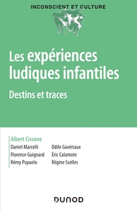 Image de Les expériences ludiques infantiles - Destins et traces