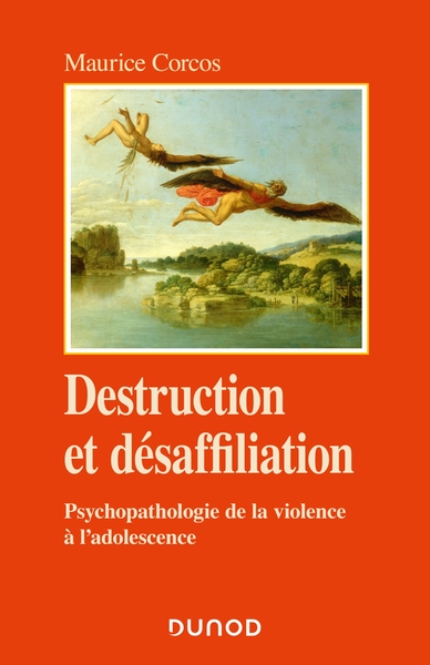 Picture of Destruction et désaffiliation