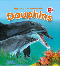 Image de Regardez nous sommes des dauphins