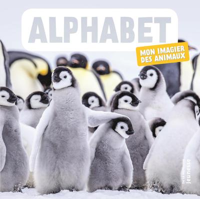 Picture of Alphabet