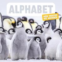 Picture of Alphabet