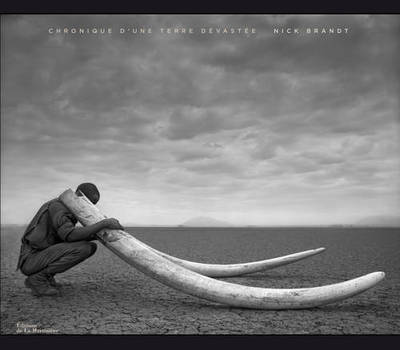 Image de Chronique d'une terre dévastée