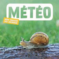 Image de Météo