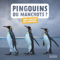 Image de Pingouins ou manchots ?