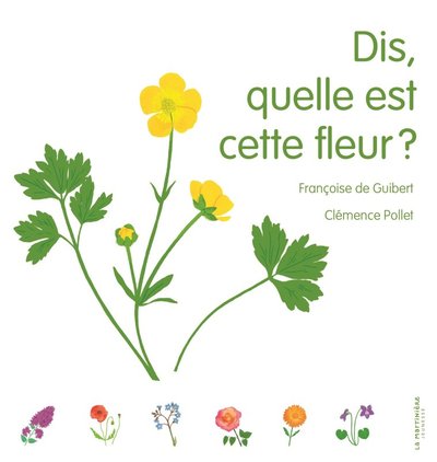 Image de Dis, quelle est cette fleur ?