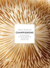Image de Champignons