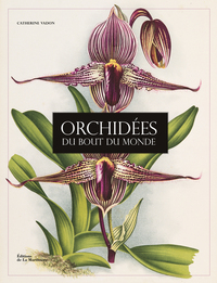 Picture of Orchidées du bout du monde