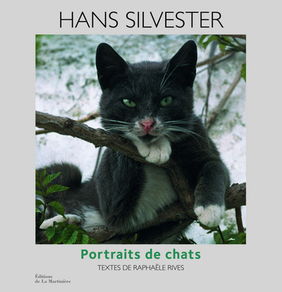 Image de Portraits de chats