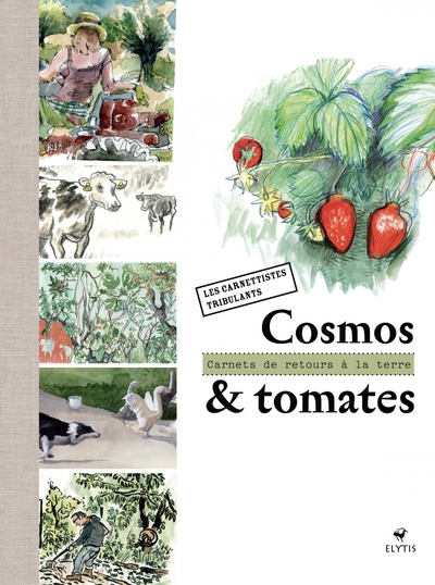 Image de Cosmos et tomates - Carnets de retours à la terre