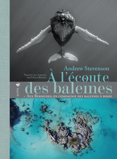 Picture of À l'écoute des baleines - Aux Bermudes, en compagnie des bal