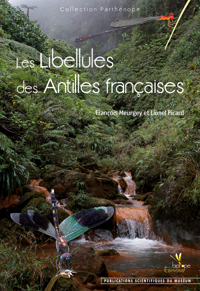 Picture of LES LIBELLULES DES ANTILLES FRANCAISES