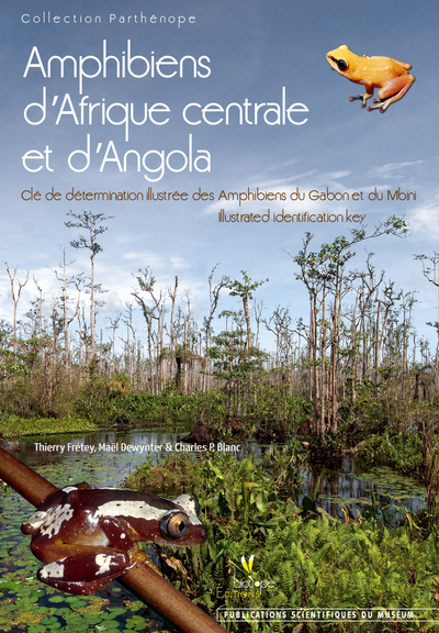 Picture of AMPHIBIENS D'AFRIQUE CENTRALE ET D'ANGOLA