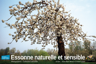 Picture of ESSONNE NATURELLE ET SENSIBLE