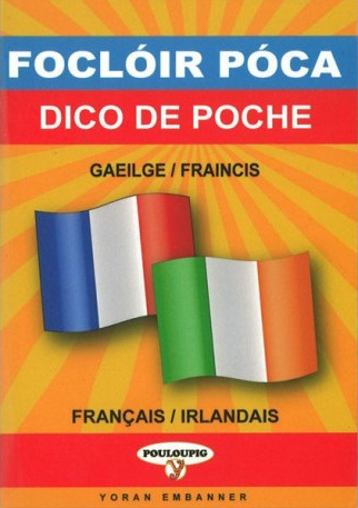 Image de Dictionnaire de poche français / irlandais
