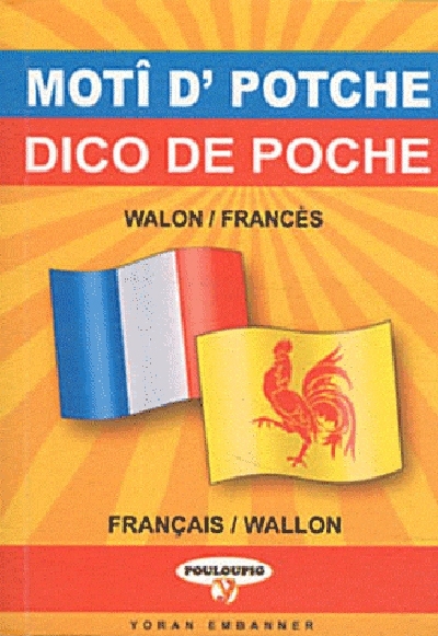 Picture of Wallon-francais (dico de poche)