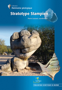 Picture of STRATOTYPE STAMPIEN