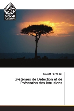 Image de systemes de Detection et de Prevention des Intrusions