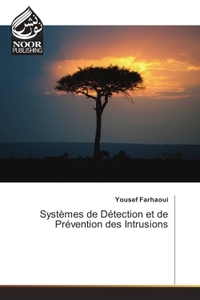Image de systemes de Detection et de Prevention des Intrusions