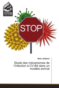 Image de Etude des mécanismes de l'infection à CV-B4 dans un modèle animal