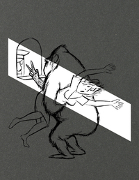 Picture of Les oiseaux sont des cons