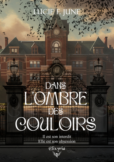Picture of DANS L'OMBRE DES COULOIRS