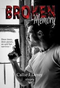 Picture of Broken memory