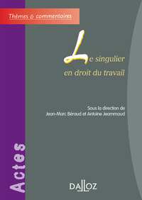 Picture of Le singulier en droit du travail