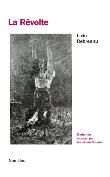 Picture of La révolte