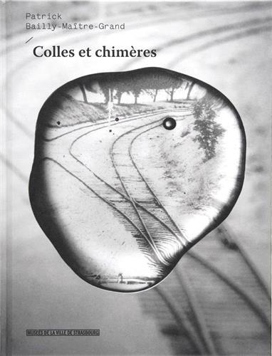 Picture of Patrick Bailly-Maître-Grand, Colles et chimères - [expositions, Strasbourg, Musée d'art moderne et contemporain, 28 juin-19 octobre 2014, Chalon-sur-