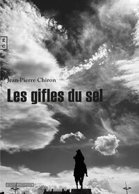 Image de Les gifles du sel - roman