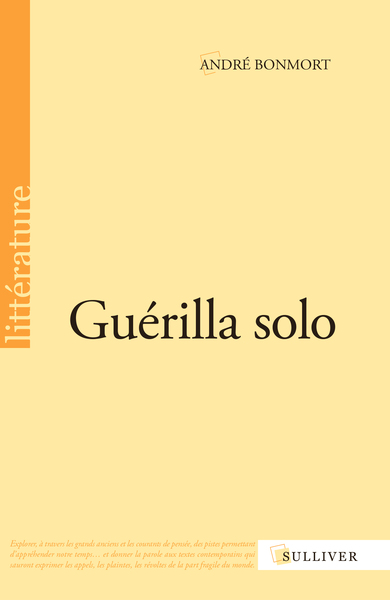 Image de Guérilla solo