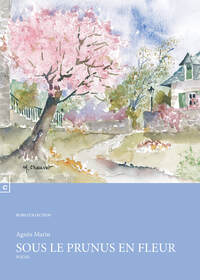 Picture of Sous le prunus en fleur