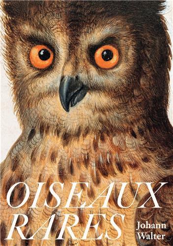 Picture of Johann Walter Oiseaux Rares /franCais