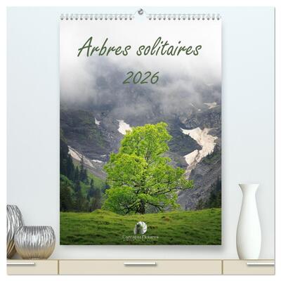 Picture of Arbres solitaires  (Calendrier mural 2026 DIN A2 horizontal) calendrier de bureau