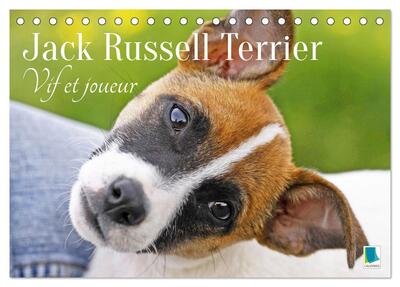 Image de Jack Russell Terrier : vif et joueur (Calendrier de bureau 2026 DIN A5 vertical), CALVENDO calendrier mensuel