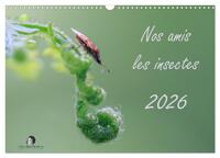 Picture of Nos amis les insectes (Calendrier mural 2026 DIN A3 vertical), CALVENDO calendrier mensuel