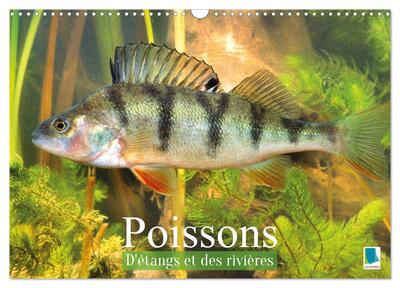 Image de Poissons : d'étangs et des rivières (Calendrier mural 2027 DIN A3 vertical), CALVENDO calendrier mensuel